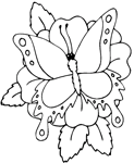 Disegno 6 Farfalle