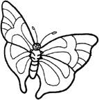 Disegno 61 Farfalle