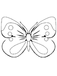 Disegno 90 Farfalle