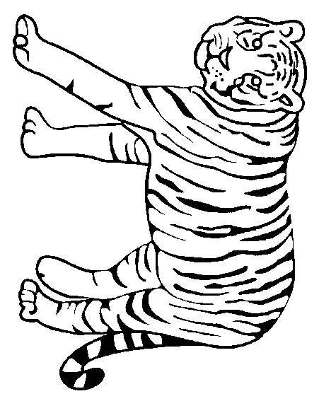Disegno 44 Felini tigri leoni