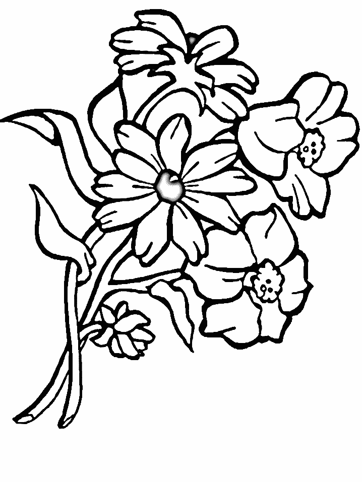 Disegno 111 Fiori