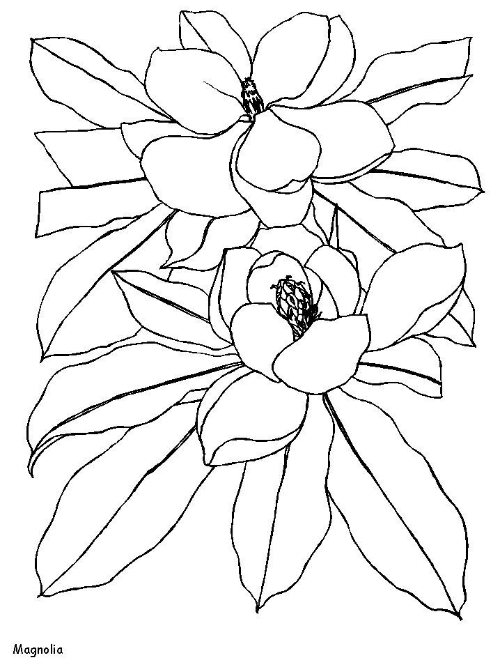 Disegno 122 Fiori