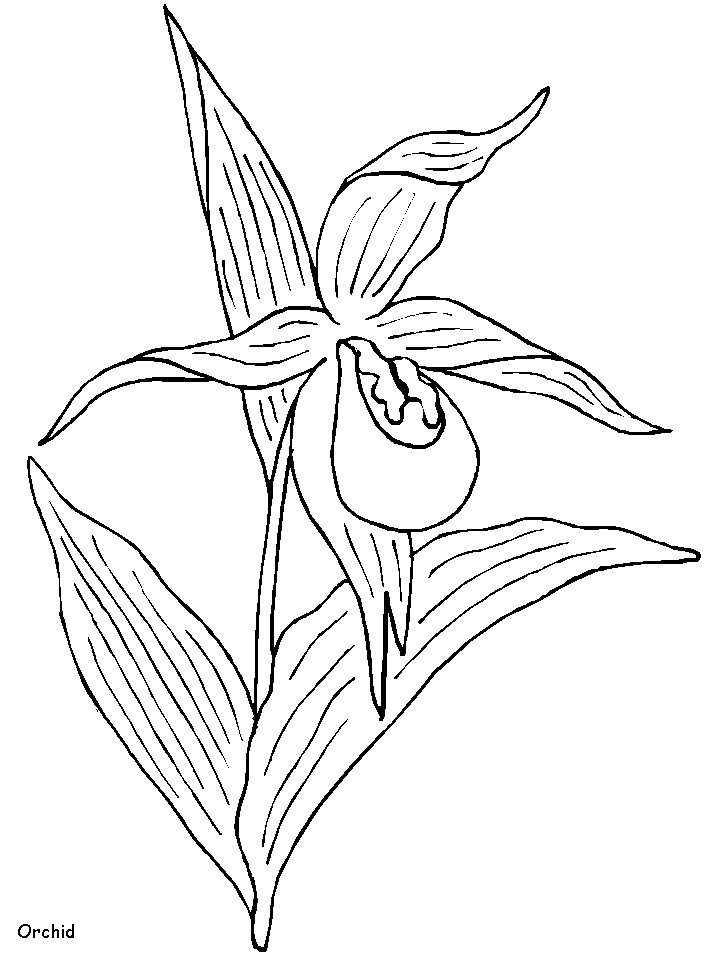 Disegno 125 Fiori