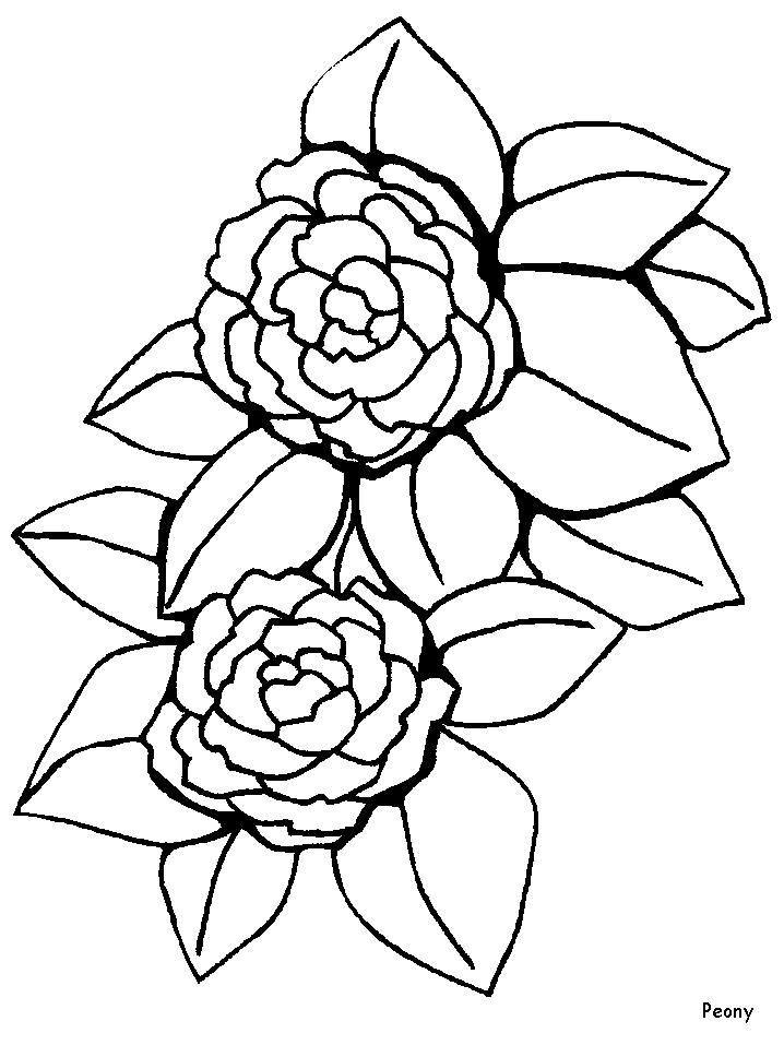 Disegno 130 Fiori