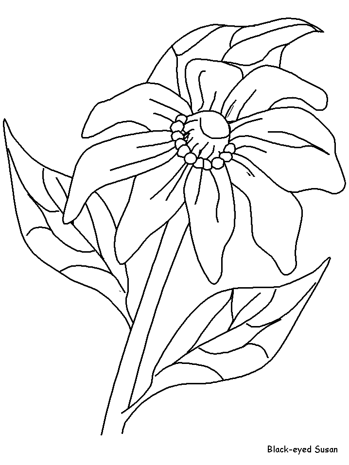 Disegno 137 Fiori