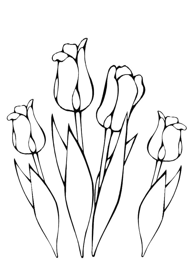 Disegno 38 Fiori