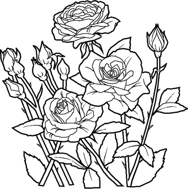 Disegno 69 Fiori