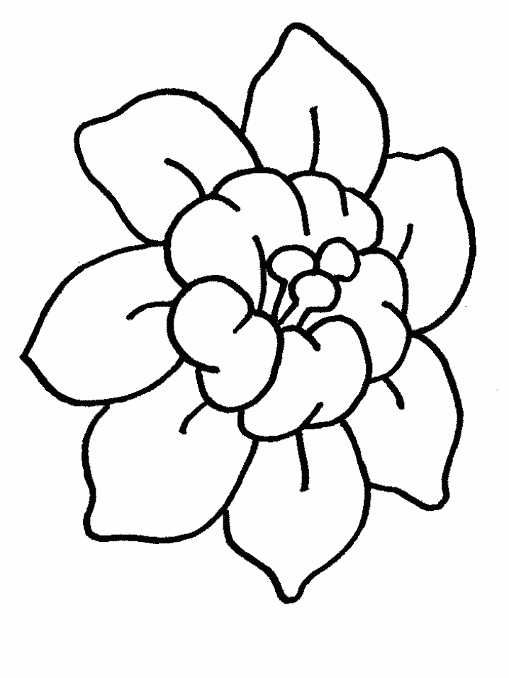 Disegno 73 Fiori
