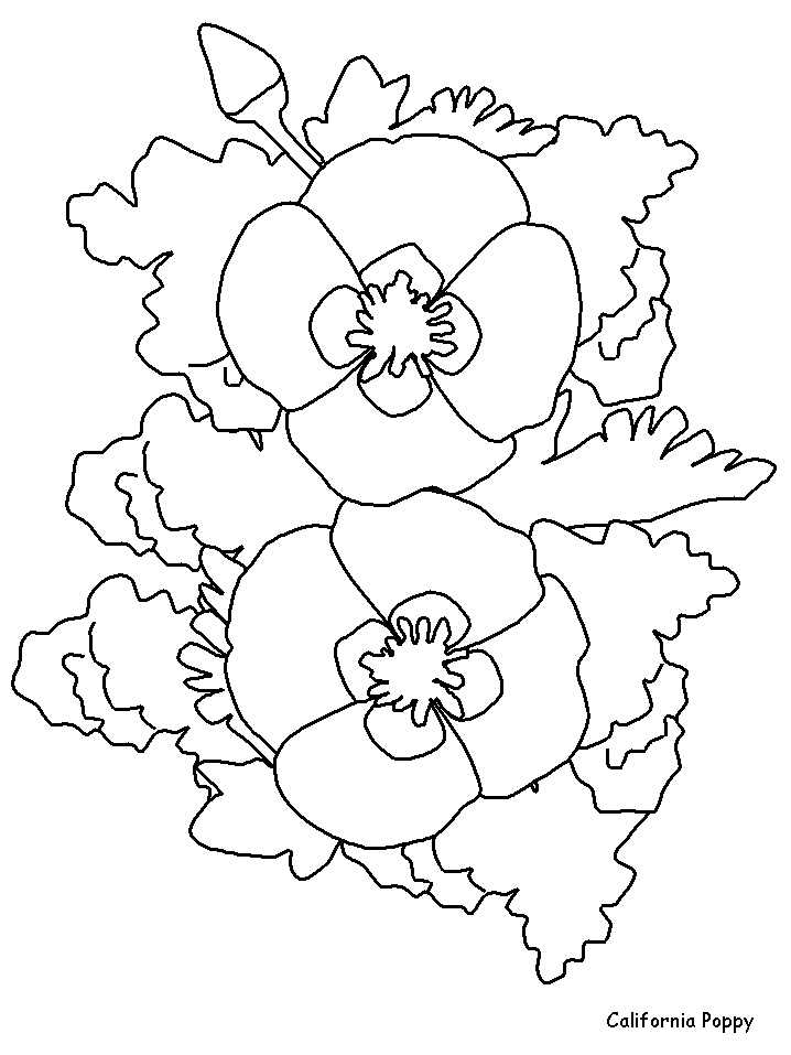 Disegno 88 Fiori