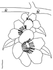 Disegno 129 Fiori