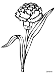 Disegno 90 Fiori