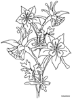 Disegno 92 Fiori
