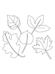 Disegno 22 Foglie