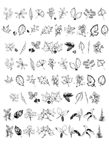Disegno 35 Foglie