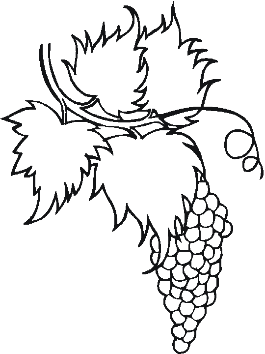 Disegno 30 Frutta verdura