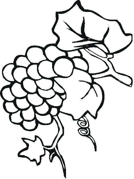 Disegno 32 Frutta verdura