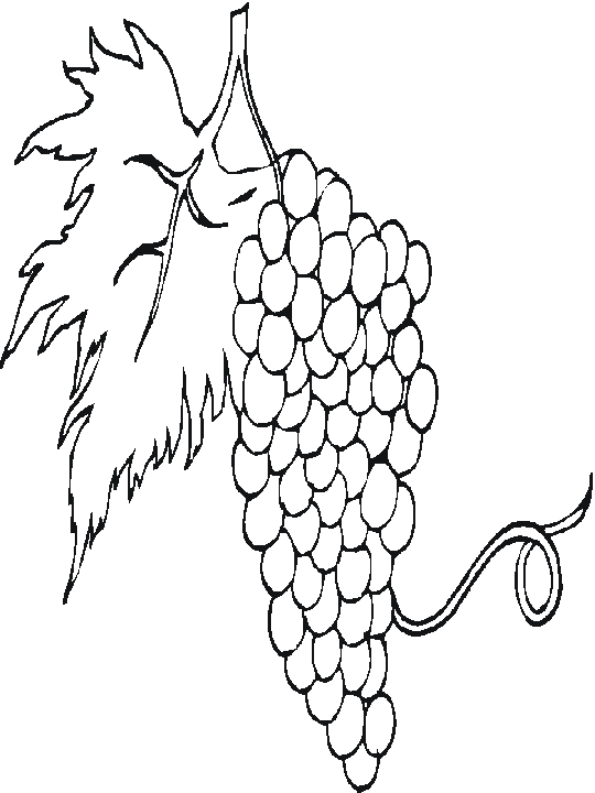 Disegno 34 Frutta verdura