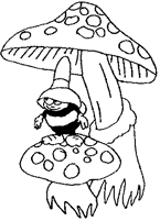 Disegno 4 Funghi