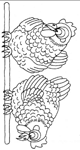 Disegno 6 Galline
