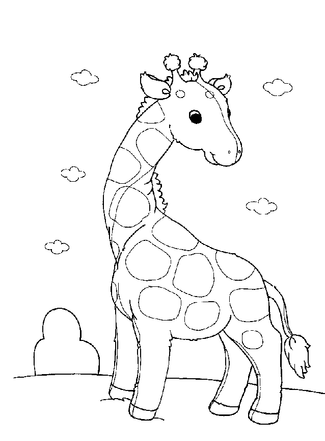 Disegno 26 Giraffe