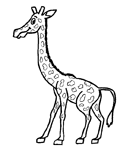 Disegno 29 Giraffe