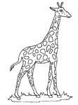 Disegno 6 Giraffe