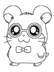 Disegno 2 Hamtaro