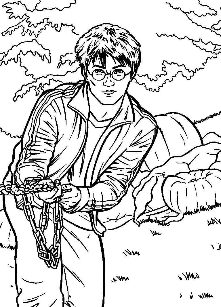 Disegno 75 Harry potter