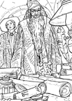 Disegno 29 Harry potter