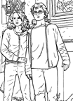 Disegno 73 Harry potter