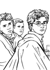 Disegno 77 Harry potter