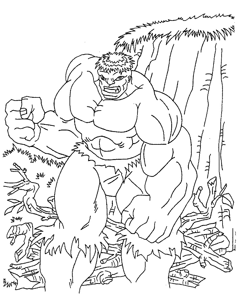 Disegno 19 Hulk