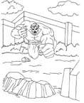 Disegno 14 Hulk