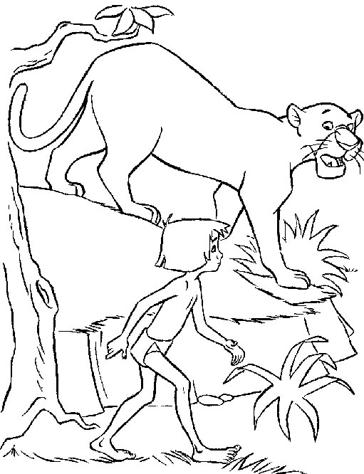Disegno 2 Il libro jungla
