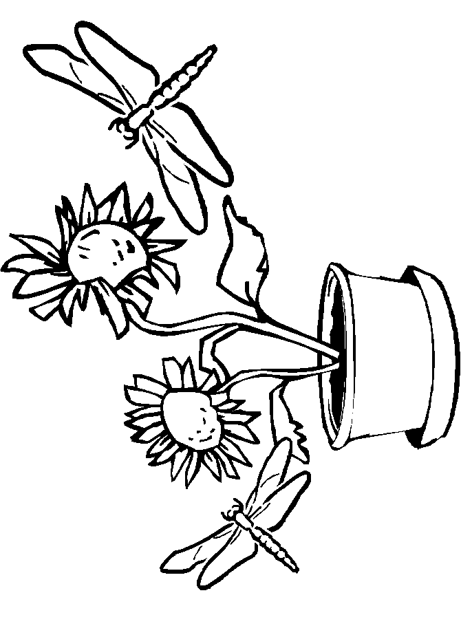 Disegno 12 Libellule