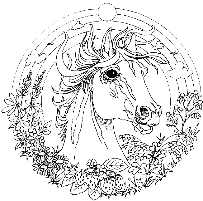 Disegno 1 Mandala animali