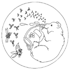 Disegno 22 Mandala animali