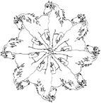 Disegno 42 Mandala animali