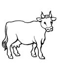 Disegno 35 Mucche