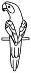 Disegno 1 Pappagalli