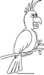 Disegno 6 Pappagalli