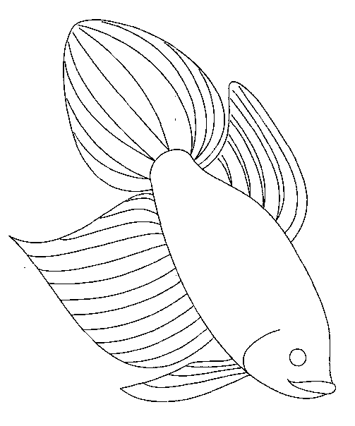 Disegno 4 Pesci