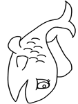 Disegno 122 Pesci