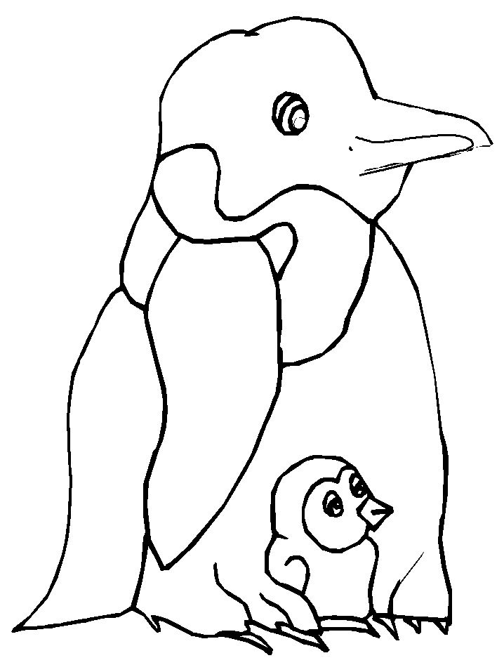 Disegno 30 Pinguini