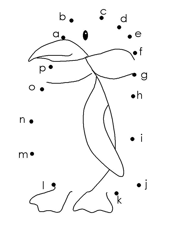 Disegno 32 Pinguini