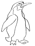 Disegno 26 Pinguini