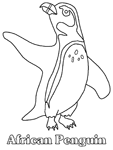 Disegno 29 Pinguini