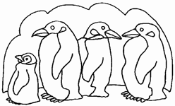 Disegno 3 Pinguini