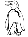 Disegno 35 Pinguini