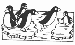 Disegno 9 Pinguini